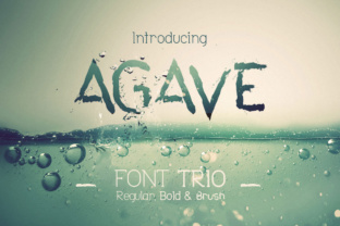 Agave Font Trio for Web Designers and Digital Creators