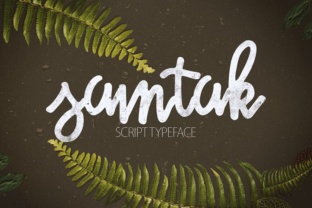 Samtak Script for Professional Branding and Eye-Catching Design